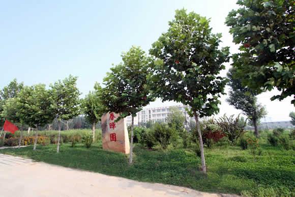 衡水科技工程學(xué)校怎么樣？是國(guó)辦院校嗎？就業(yè)有保障嗎？