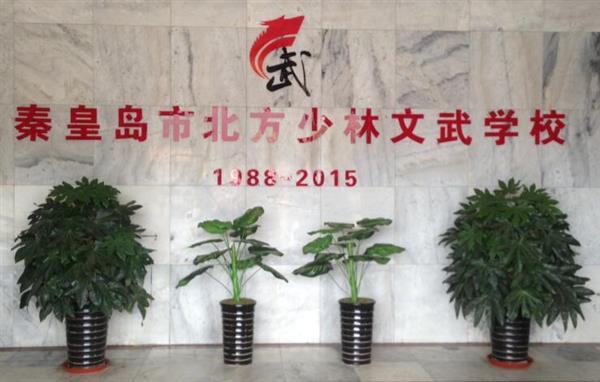 秦皇島北方少林文武學(xué)校就業(yè)如何？這答案你放心！