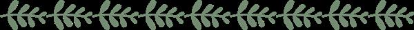 石家莊平安醫(yī)學(xué)中等專業(yè)學(xué)校地址在哪？