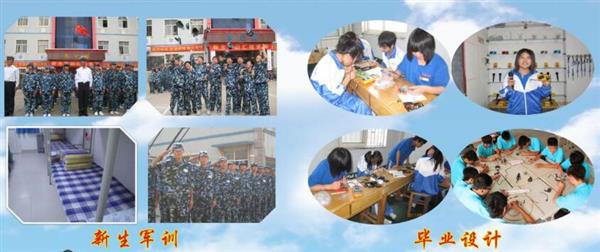 青島海信中心聯(lián)校收費標準是什么？