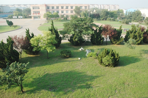 山東龍口礦業(yè)集團高級技工學校老師們教學怎么樣？升學率高嗎？