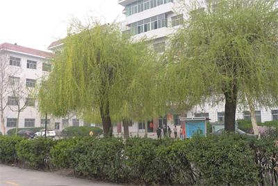 保定哪所正規(guī)的學(xué)校有鐵路專業(yè)？   