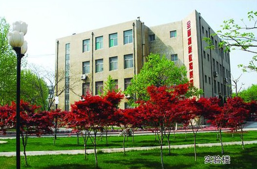 淄博市工業(yè)學(xué)校開(kāi)設(shè)哪些計(jì)算機(jī)課程？