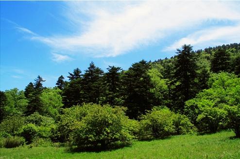 邢臺(tái)沙河市綜合職教中心現(xiàn)代林業(yè)技術(shù)怎么樣？