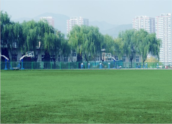 青島滿天星職業(yè)培訓(xùn)學(xué)校怎么樣？