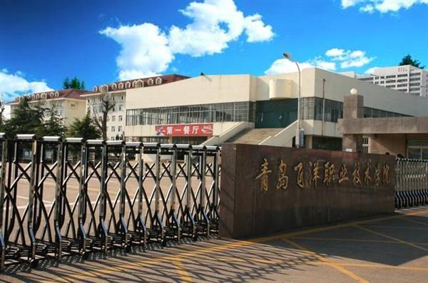 青島飛洋職業(yè)技術(shù)學(xué)院物流管理專業(yè)好嗎？