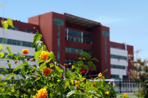 通過單招考取大學(xué)有哪些優(yōu)勢(shì)？