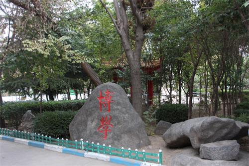  山東人民專(zhuān)修學(xué)院怎樣安排學(xué)生就業(yè)？