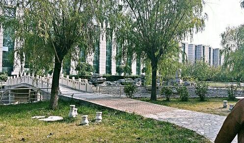 保定平安技工學(xué)校動(dòng)漫設(shè)計(jì)專業(yè)上什么課程？   