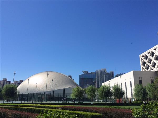 北京國(guó)際青年研修學(xué)院都開設(shè)哪些專業(yè)？