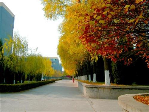 北京現(xiàn)代體育學(xué)院、航空乘務(wù)學(xué)院設(shè)施好嗎？
