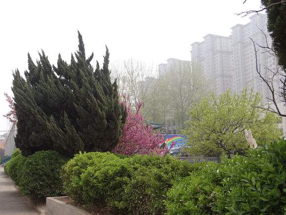 煙臺天虹學院怎么樣？