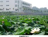 鄭州澍青醫(yī)學高等?？茖W校